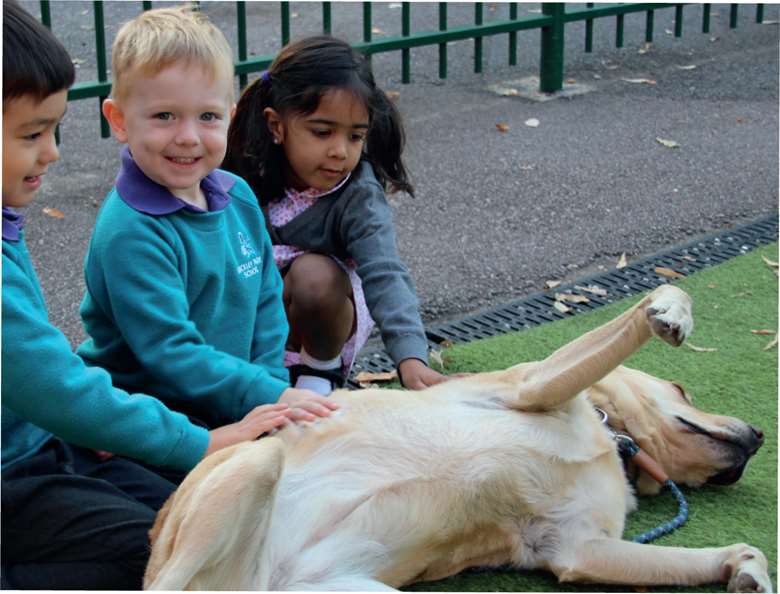 Children with Selkie, the five-year-old Labrador, at Bickley Park