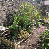 brougham-street-nursery-in-skipton