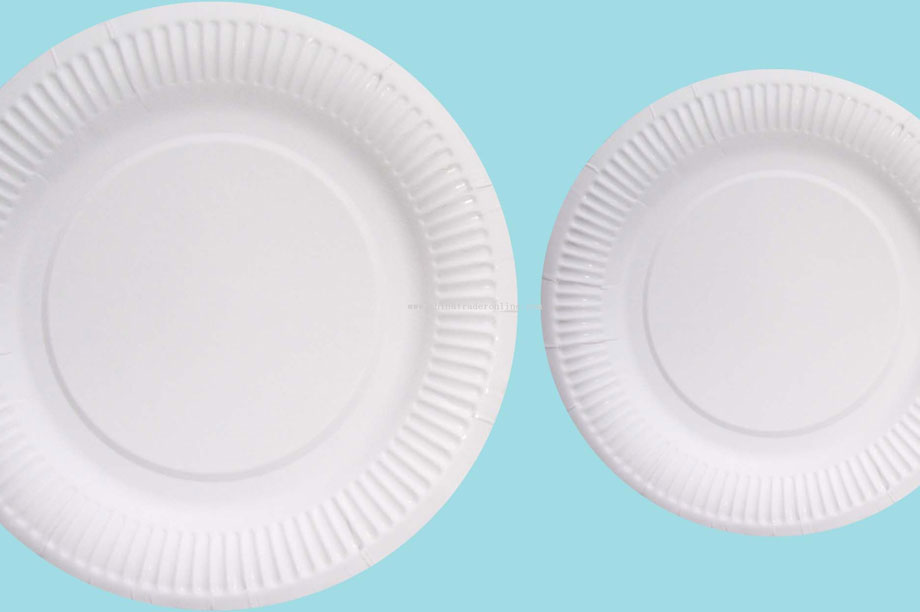 mini paper plates