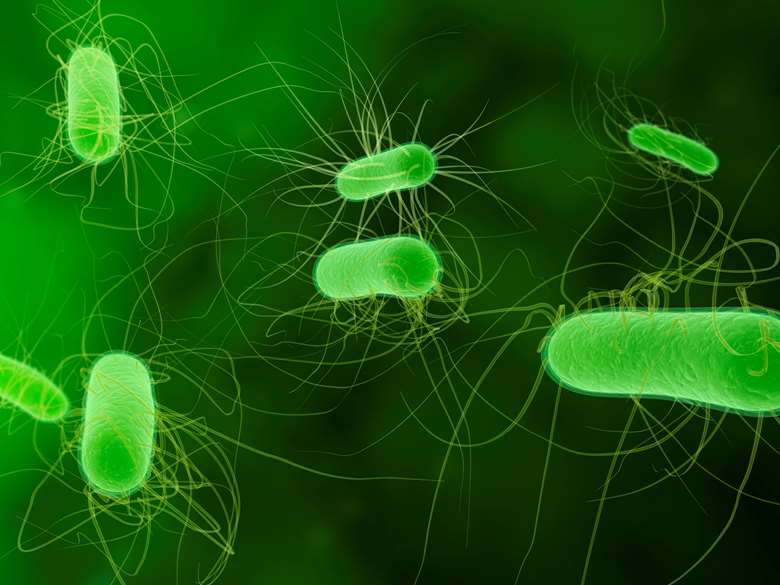 Third case of E.coli confirmed at a Welsh childcare setting | Nursery World