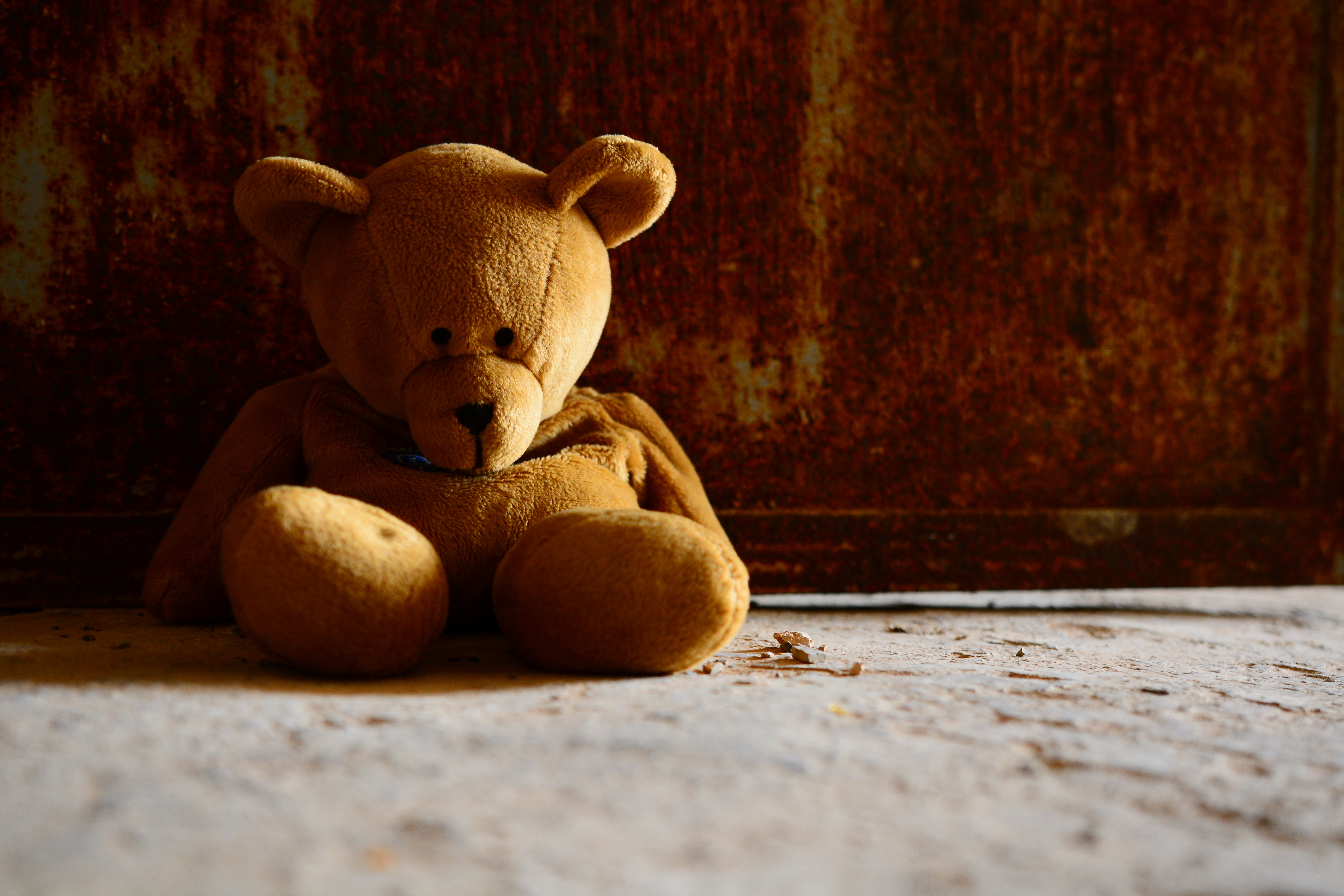 adobestock_137606970_sad-bear.jpeg