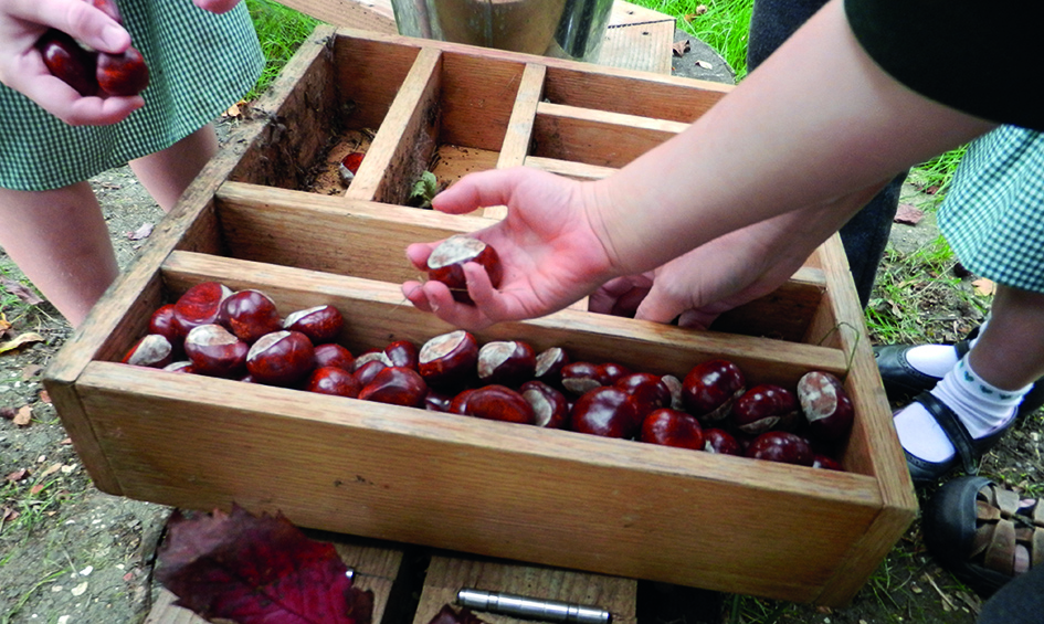 conker-sorting-cutlery-tray.jpg