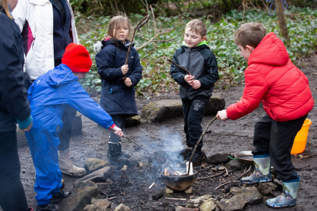 forest-skills-training