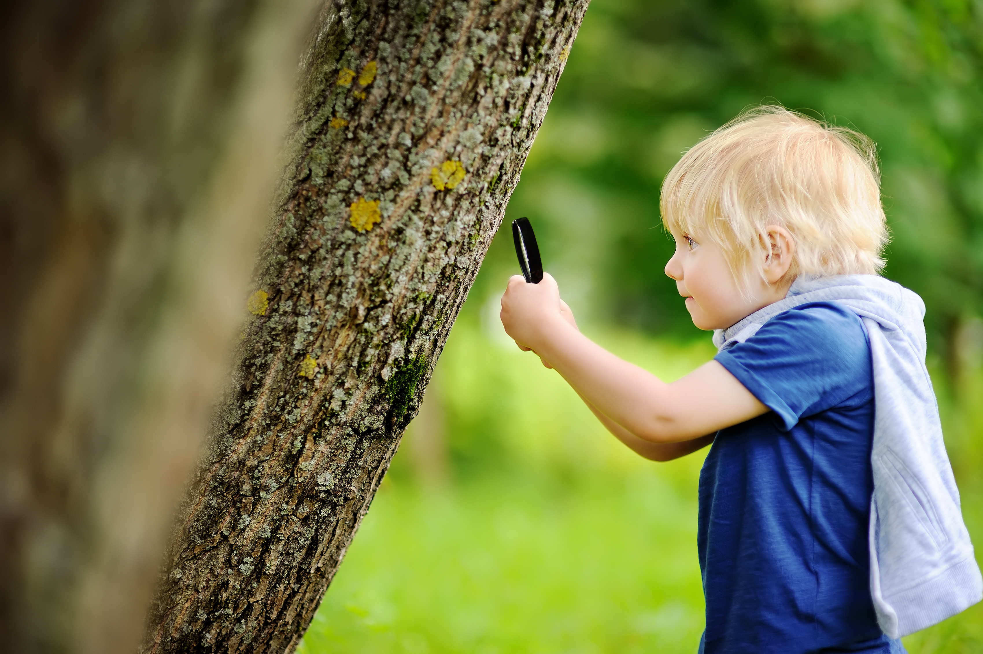 boy-looking-at-tree-with-magnifying-glass.jpg