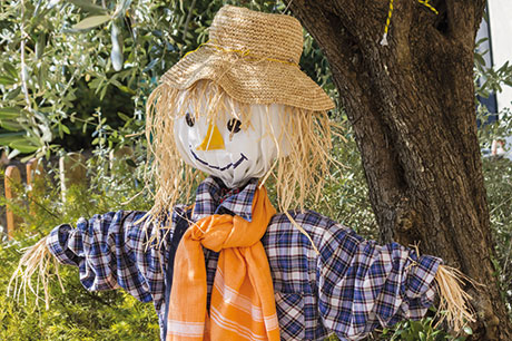 afunscarecrow.jpg