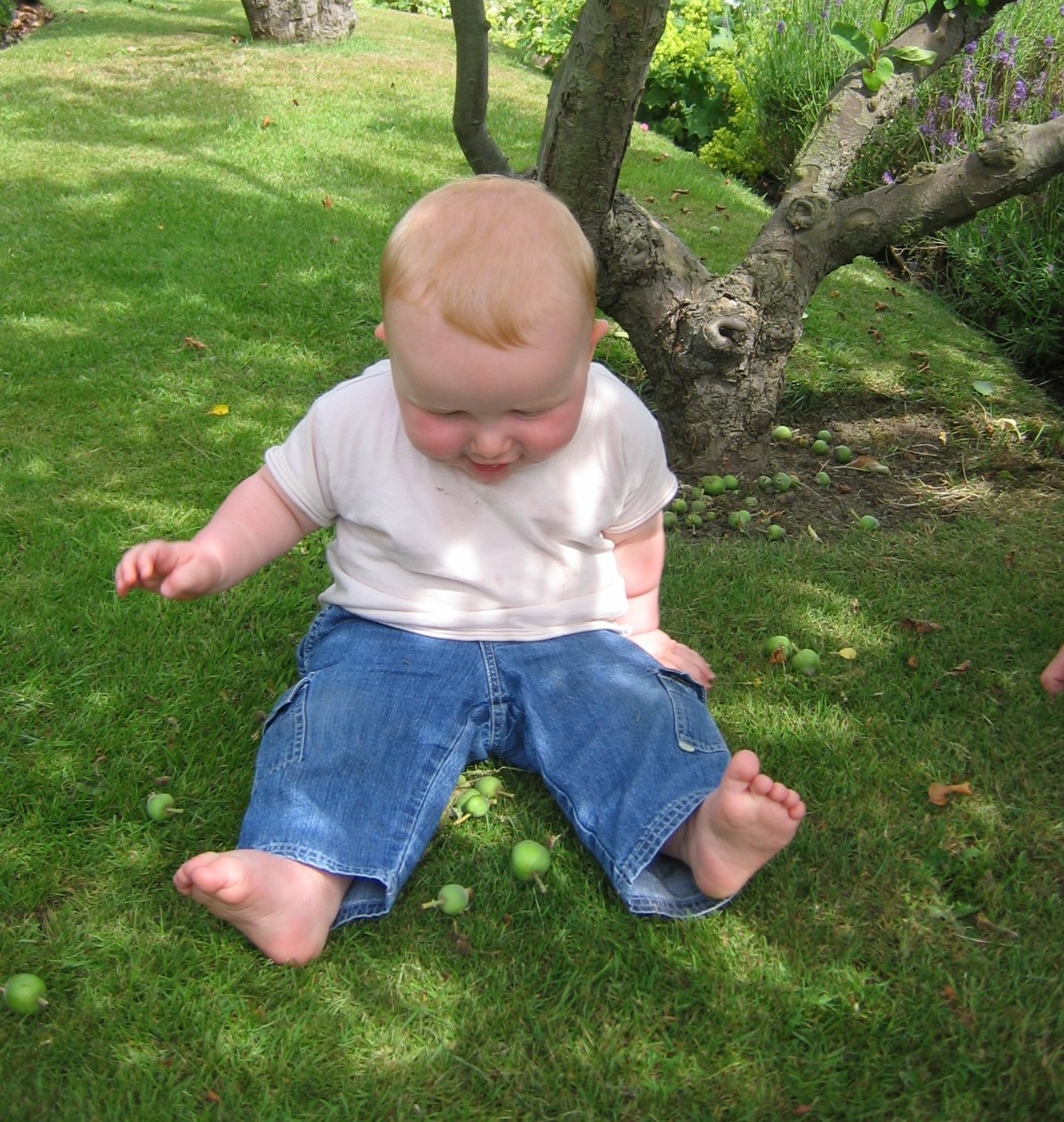 playing-under-tree-in-shade.jpg