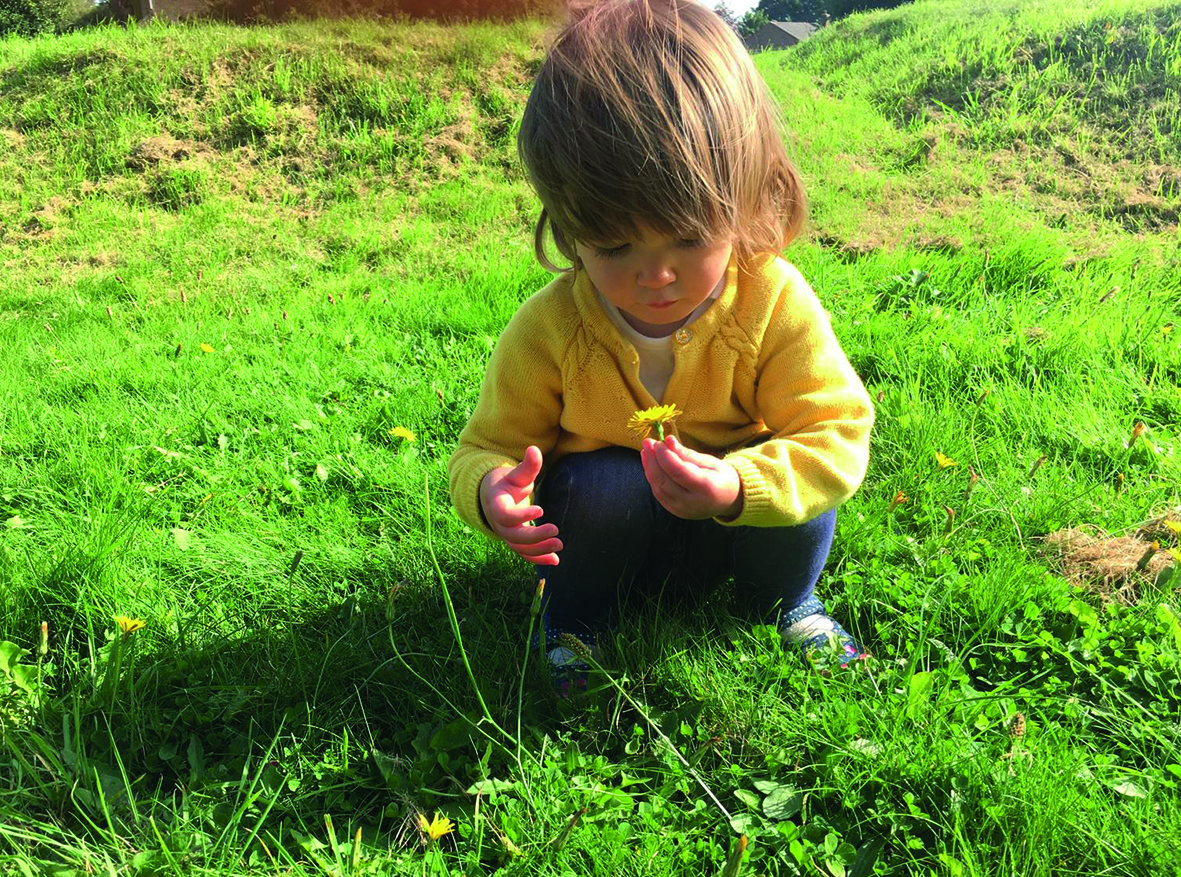 jess-inspecting-dandelion.jpg