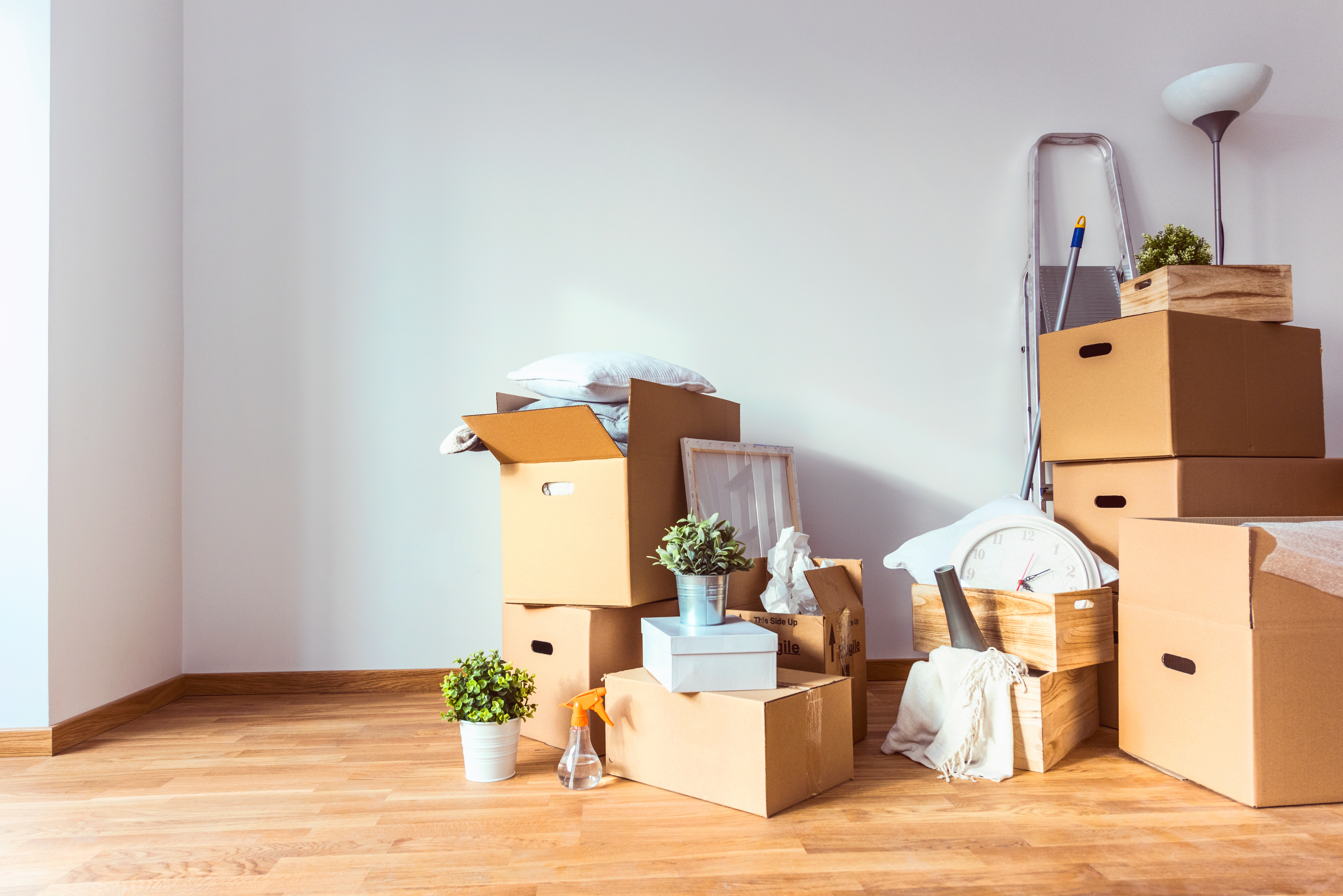 adobestock_142136315_moving-house.jpeg