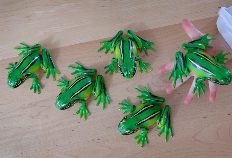 frogs-hi-res.jpg