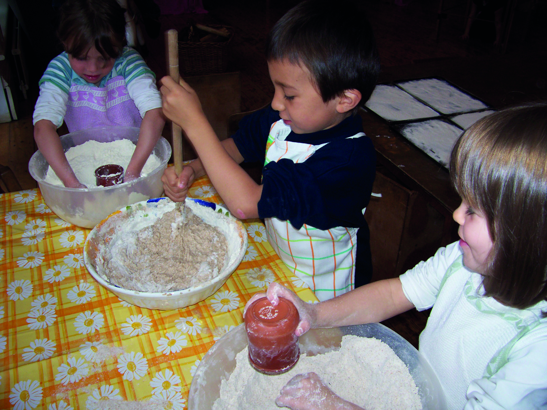 elmfield-rudolf-steiner-school-kindergartens-stourbridge.jpg