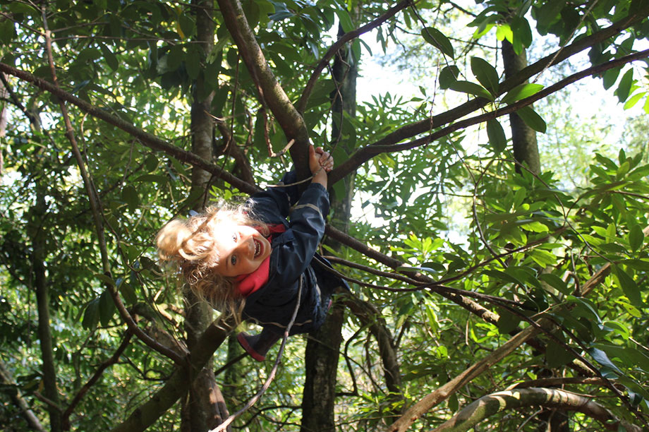 forest-schools.jpg