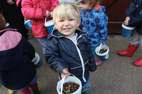 star-photo-nboard-greenbank-forest-school.jpg